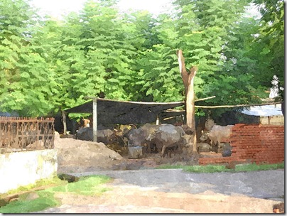 FotoSketcher - bhains