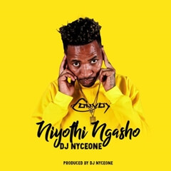 (Amapiano) DJ Nyceone - Niyothi Ngasho (2019)