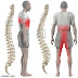 Kent WA Chiropractor Alleviates Slipped Disc Pain Safely