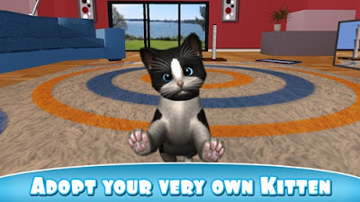 daily kitten pet games