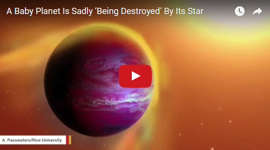 A Baby Planet Is Sadly Being Destroyed By Its Star.