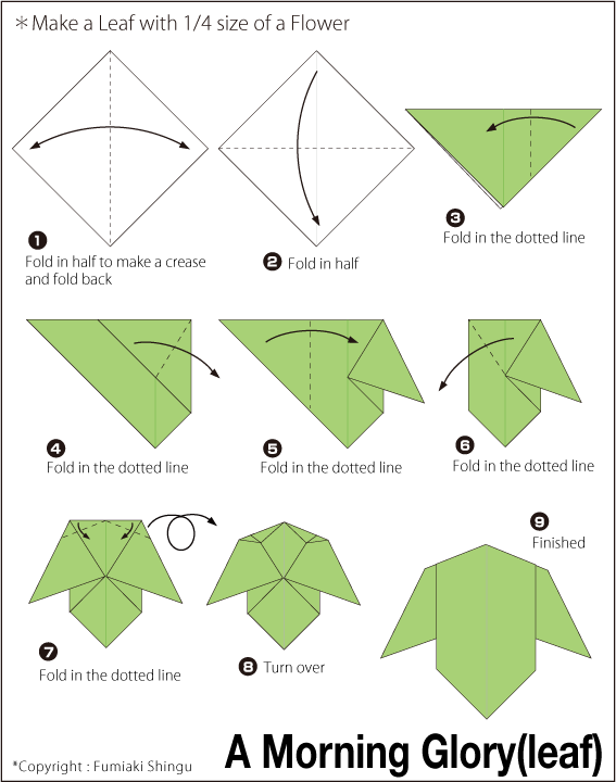  Cara  Membuat  Origami  Bunga  Morning Glory Cara  Membuat  