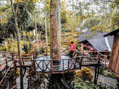 Rumah Pohon Taman Kelir Kediri