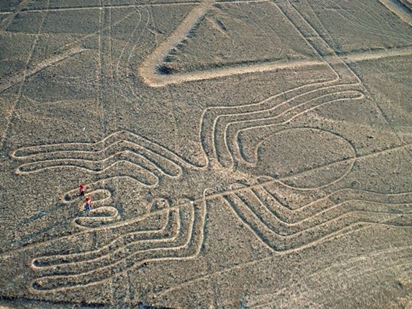 Nazca_spider