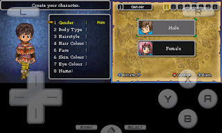 Dragon Quest IX: Sentinels of the Starry Skies