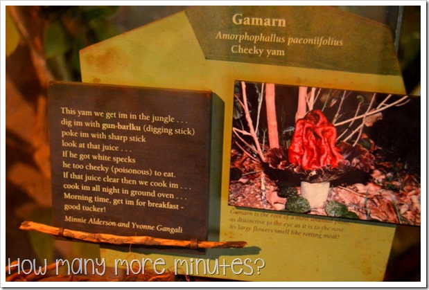 Kakadu: Bowali Visitor Centre | How Many More Minutes?