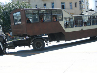 A brown camel in Old Havana