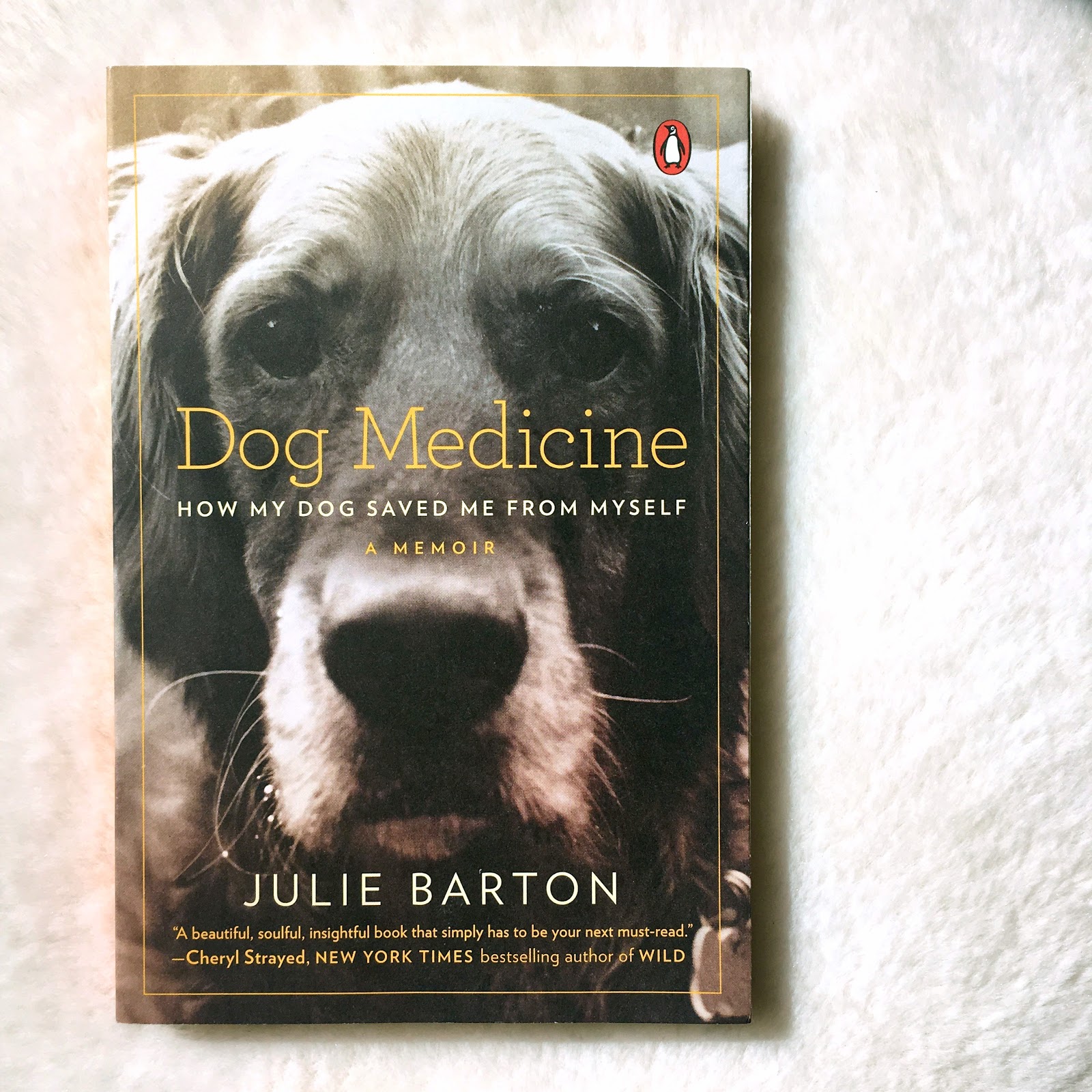 Book Spotlight Dog Medicine by Julie Barton