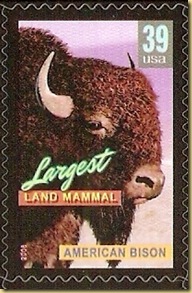 Hemant USA.jpg 9