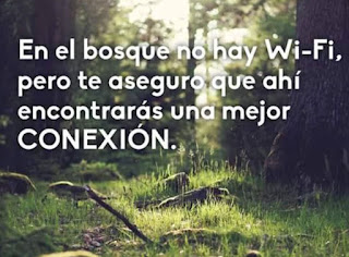 Frases sobre Biodiversidad