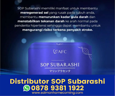 Obat Stroke Alami SOP Subarashi Palembang