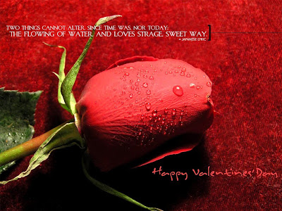 Free Happy Valentine Day Wallpapers Download