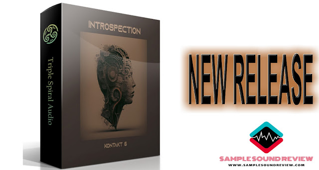 INTROSPECTION by TRIPLE SPIRAL AUDIO | Kontakt 6