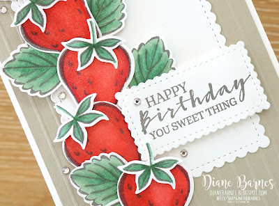 Handmade birthday card using Stampin Up Sweet Strawberry stamp set and punch bundle. Made by Di Barnes, Independent Demonstrator in Sydney Australia - colourmehappy - sydneystamper - 2021-22 annual catalogue