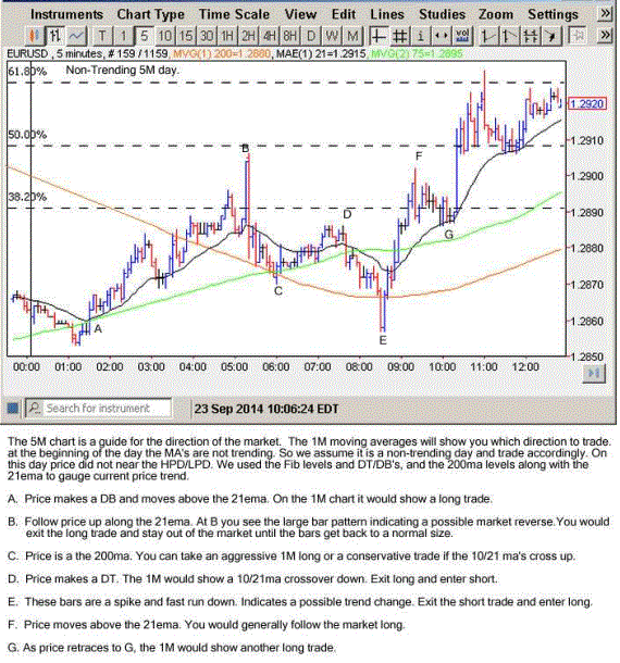 Scalping Day