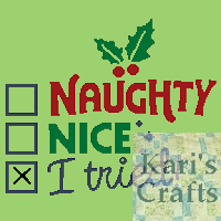 Naughty, Nice, I Tried graphghan pattern by Kari Davies