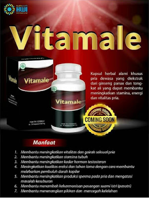 http://www.tokochiliong.com/2018/08/jual-obat-kuat-vitamale-asli.html