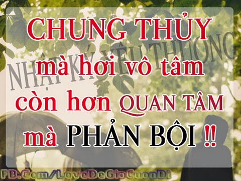 Giay dan tuong 