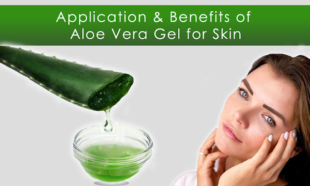 application and benefits of aloe vera gel for beautiful skin