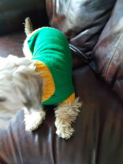 Shaggy modeling his Green Bay Packer sweater.