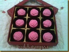 Coklat 5.3.2011 098