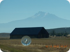 DSCN2263