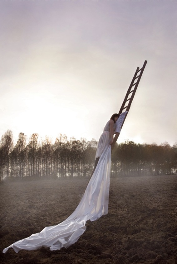maia flore 5