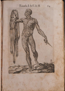 An illustration of a standing male figure with no skin. In his left hand is a knife, in his right, his skin.