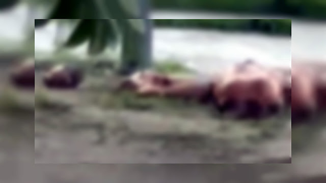 Asesinan a 2 mujeres en Manzanillo Colima les arrancaron la piel del rostro y las abandonaron con Narcomensaje
