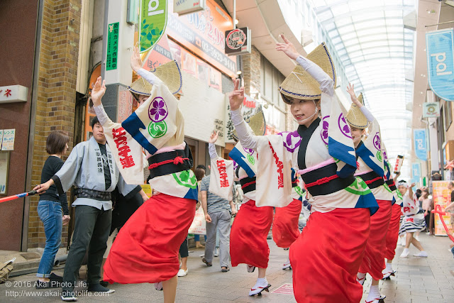 高円寺PAL商店街、阿波踊り、江戸っ子連の流し踊りの写真