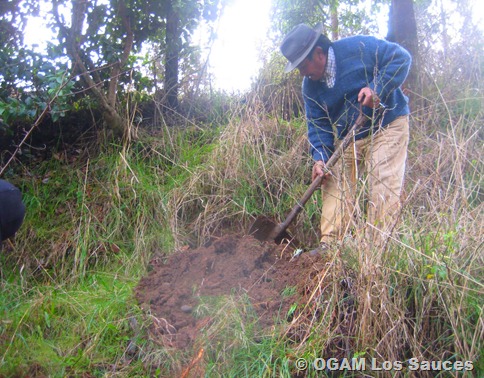 reforestacion keuke 2