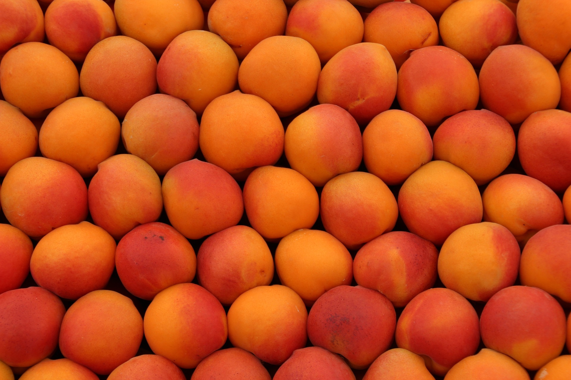 Peaches: Nature's Profitable Superfood : Unveiling Their Nutritional Riches