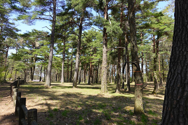 鳥取県西伯郡伯耆町丸山 ふれあいの森キャンプ場