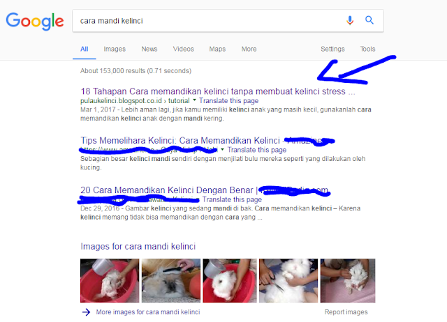 Bukti SS Pagerank #1 Google gara-gara tag HTML Strong