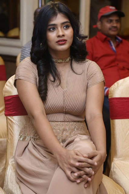 Telugu actress hebah patel hot image gallery