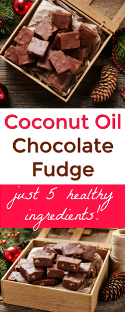 Coconut Oil Chocolate Fudge Recipe
