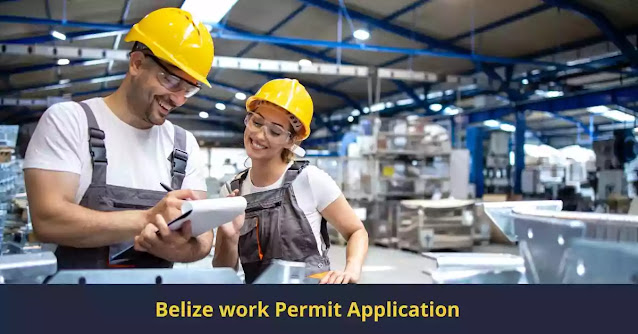 belize work permit application