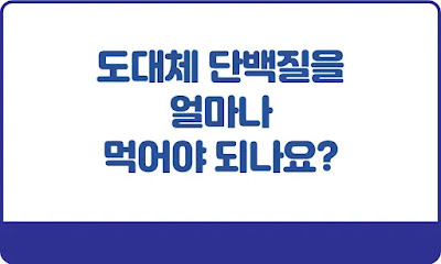 도대체-단백질을-얼마나-먹어야-되나요-썸네일