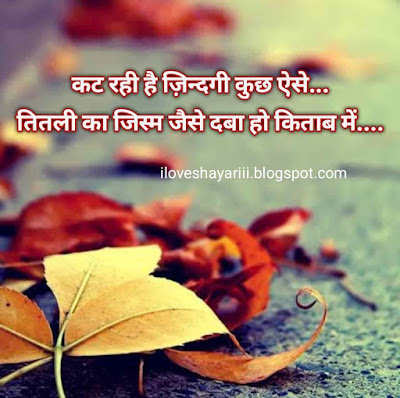 good morning love shayari
