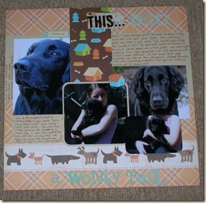 craft 051