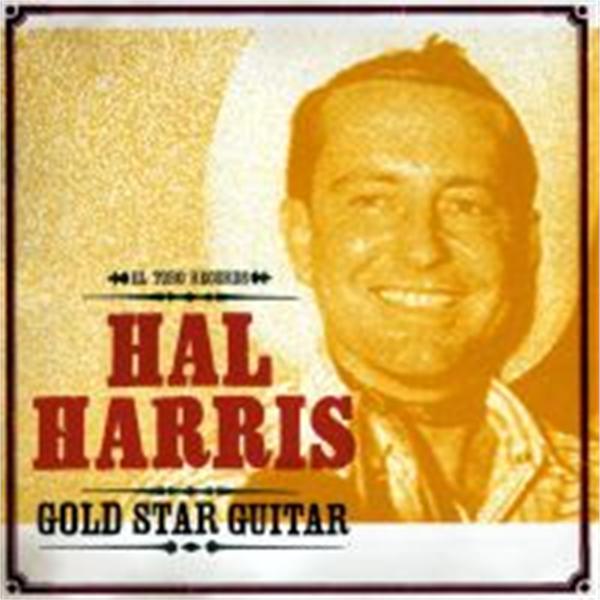 gold star. Hal Harris - Gold Star Guitar