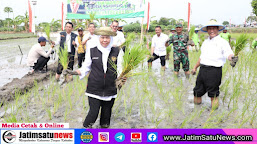 Bersama Menteri Pertanian RI Panen dan Tanam Padi di Tuban, Gubernur Khofifah Ajak Wujudkan Kedaulatan Pangan Indonesia