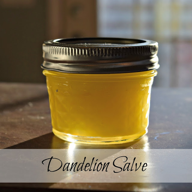 A small jar of homemade dandelion salve