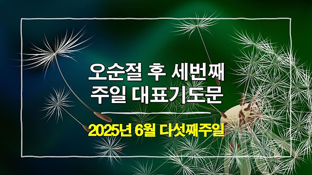 [2025년 6월 다섯째 주일 오전예배 대표기도문] 오순절 후 세번째 주일예배 대표기도문