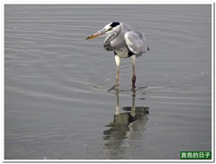 20111130_124404_066_HuaJiang