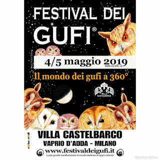 Festival dei Gufi