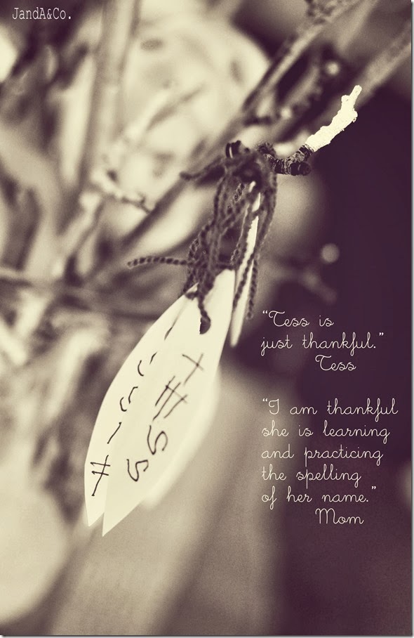 Thankful Tree-0322