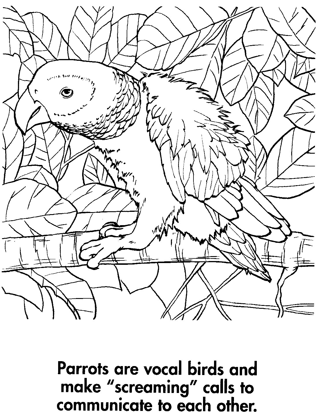 Download sport life: Planet Earth Coloring Book Awesome Animals (95 ...
