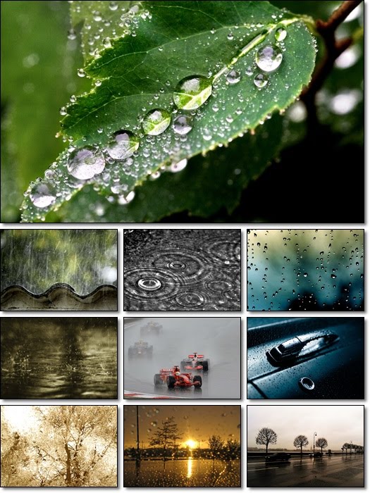 rain wallpapers. Rain Wallpapers Pack