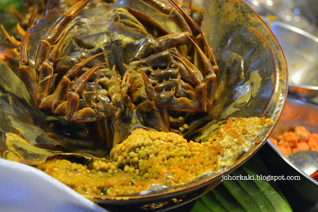 What-Insects-Eat-Bangkok